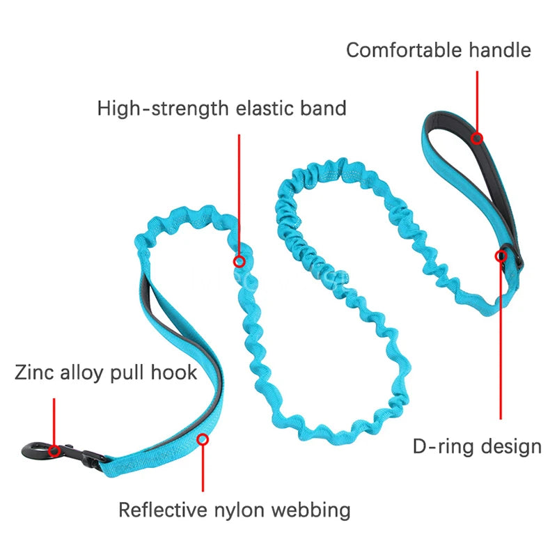 Personalised Reflective Dog Harness with Grab Handle & Lead Set - Ember