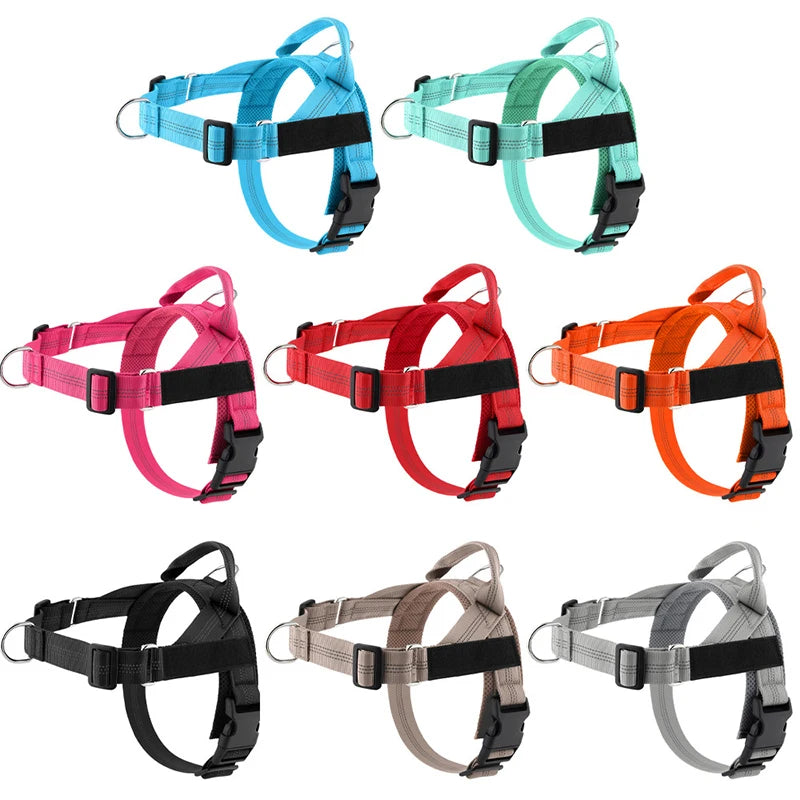 Adjustable reflective dog harness in low-light conditions
