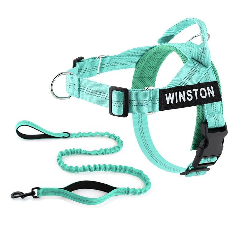 Personalised Reflective Dog Harness with Grab Handle & Lead Set - Mint