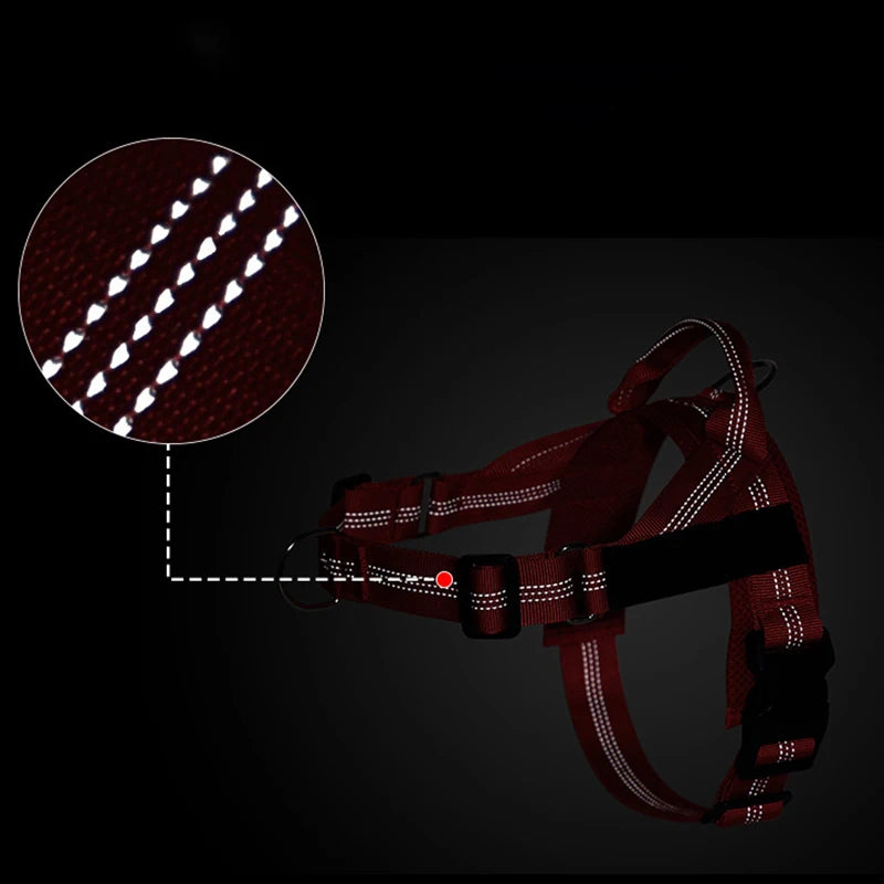 Breathable mesh panel inside the adjustable dog harness