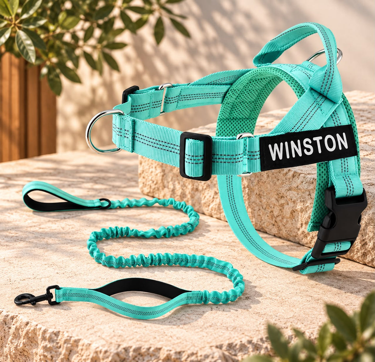 Personalised Reflective Dog Harness with Grab Handle & Lead Set - Mint