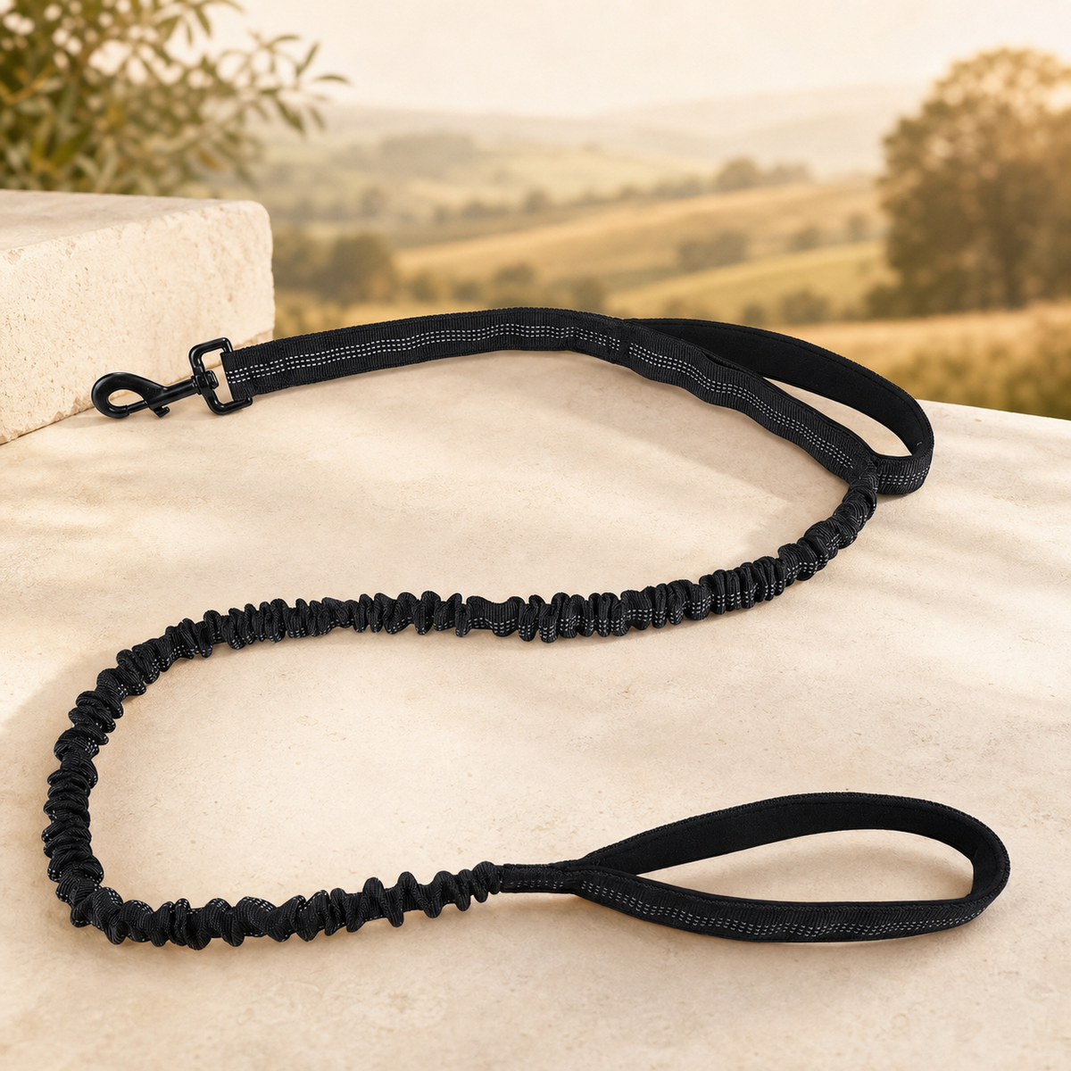 Shock-absorbing bungee dog lead in black on a warm stone setting