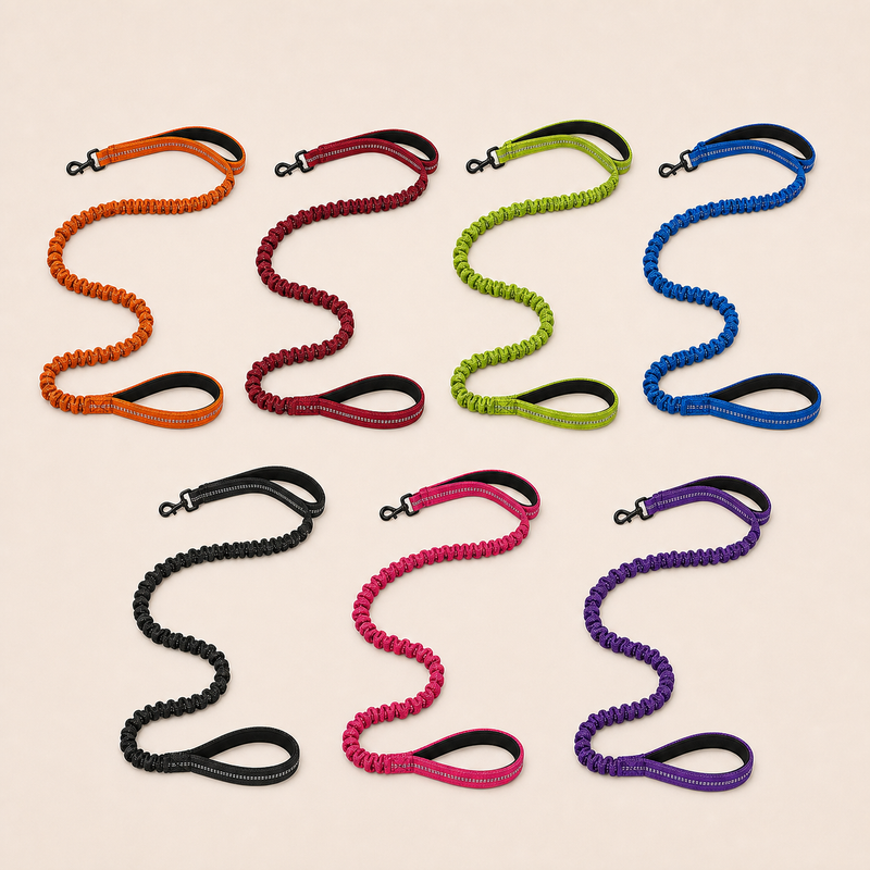 Bungee Dog Leads