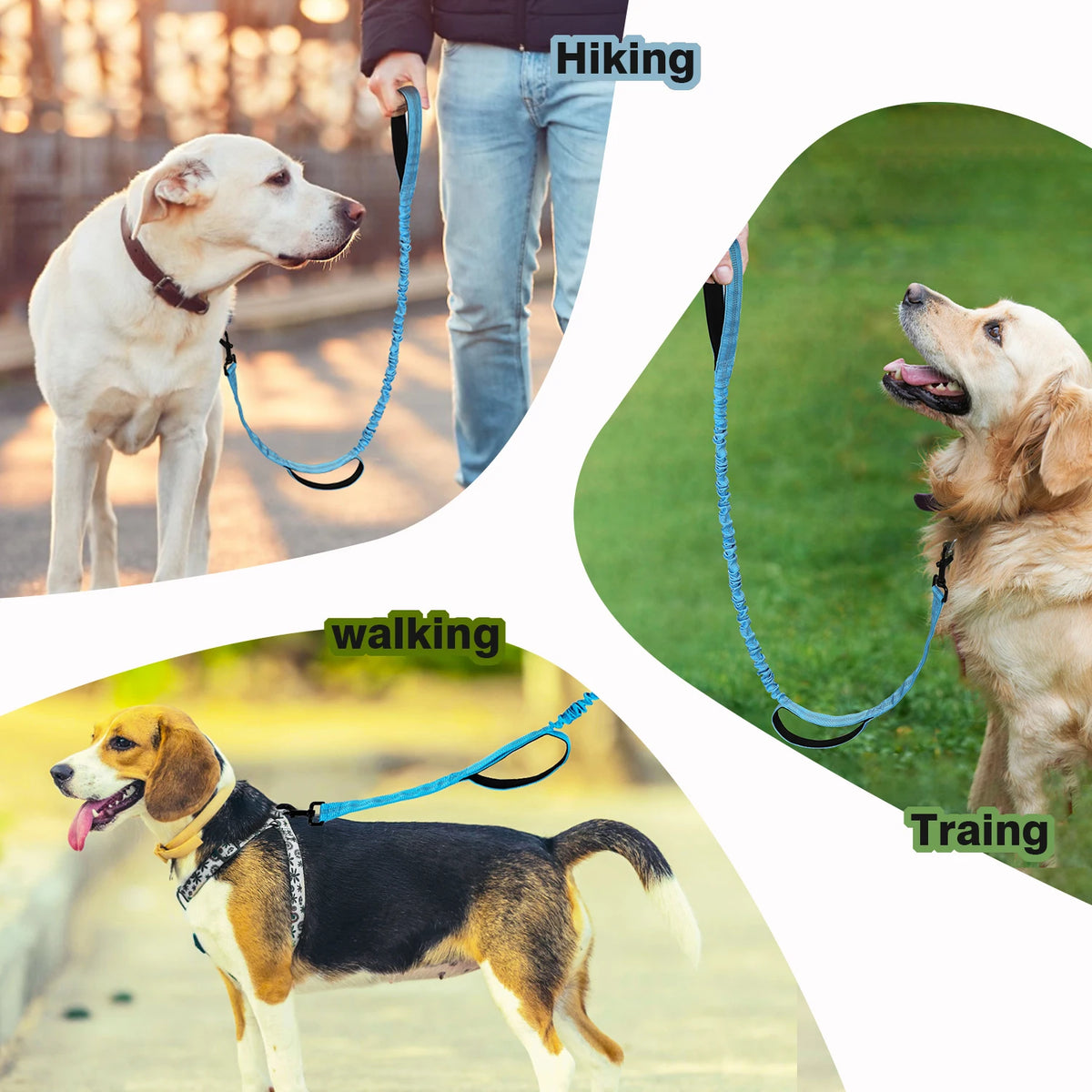 Shock-Absorbing Bungee Dog Lead with Dual Handles – Rose