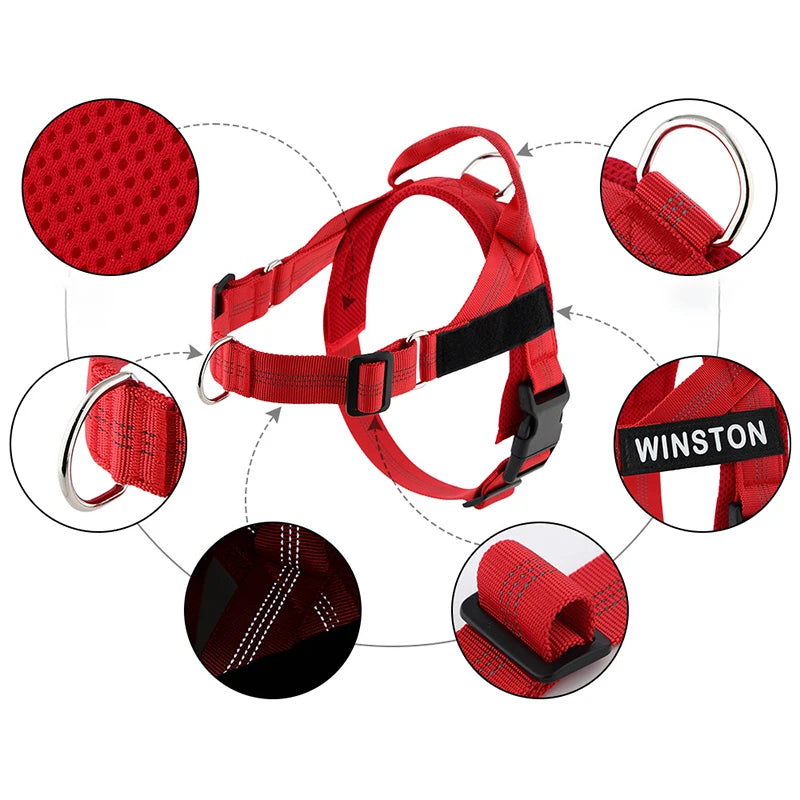 Reflective detailing on the adjustable dog harness