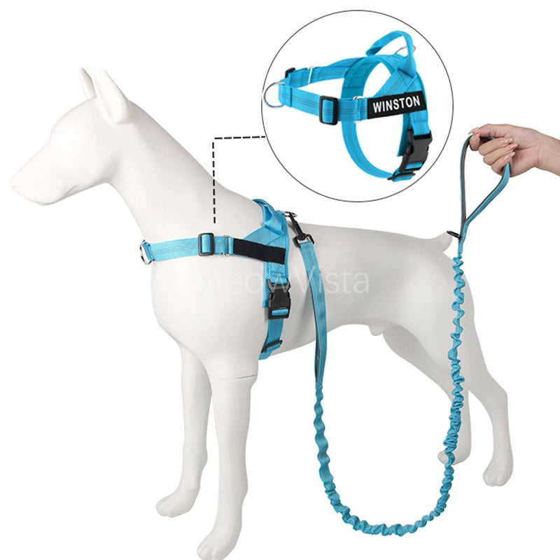 Personalised Reflective Dog Harness with Grab Handle & Lead Set - Ember