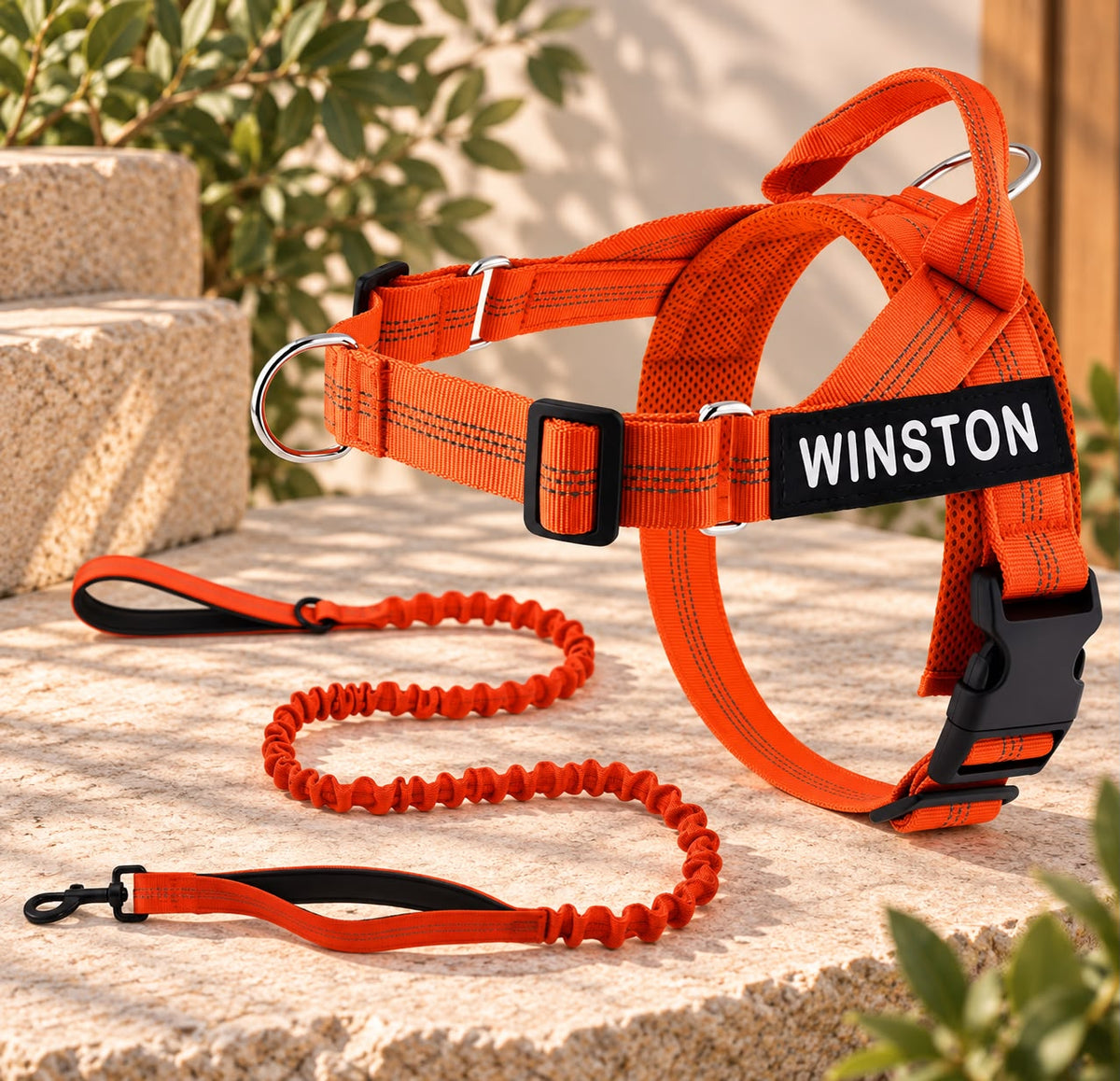 Personalised Reflective Dog Harness with Grab Handle & Lead Set - Ember
