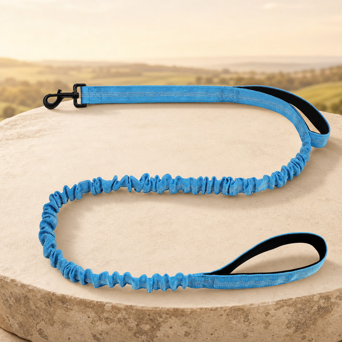 Shock-absorbing bungee dog lead in blue on a warm stone setting
