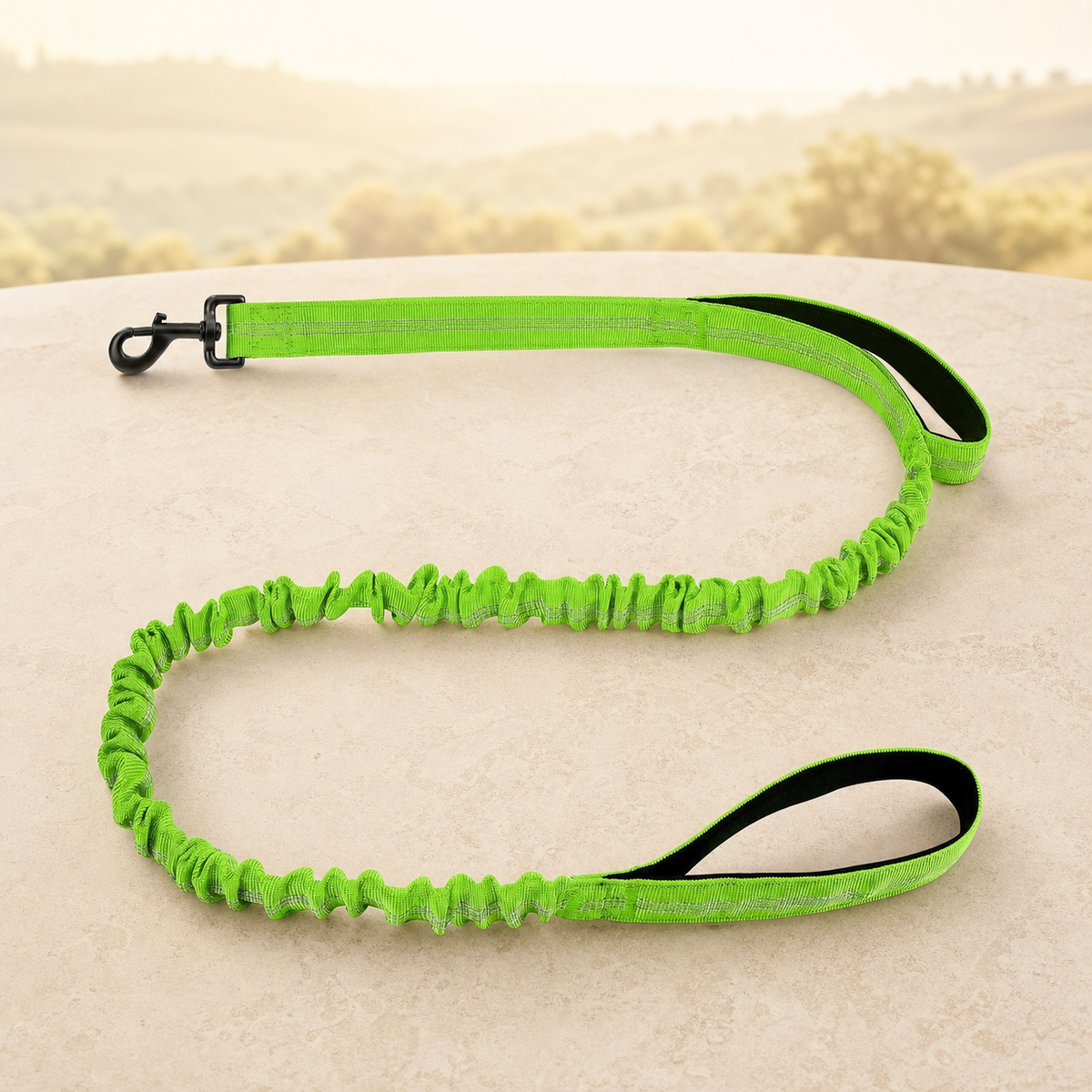 Shock-absorbing bungee dog lead in light green on a warm stone setting