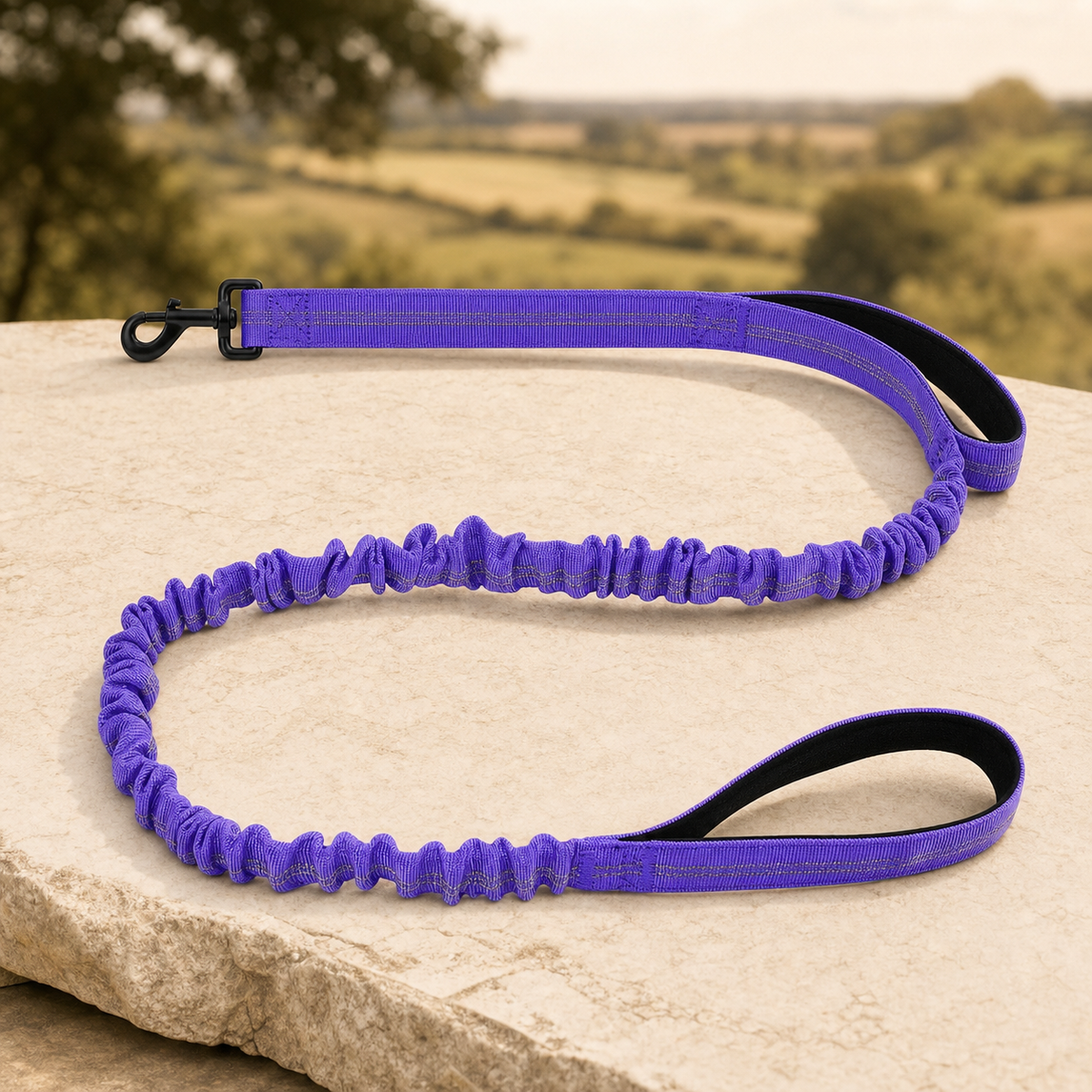 Shock-absorbing bungee dog lead in purple on a warm stone setting